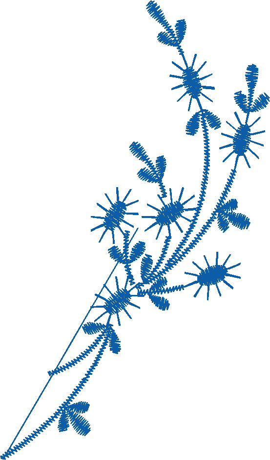 Floral 40  (11)