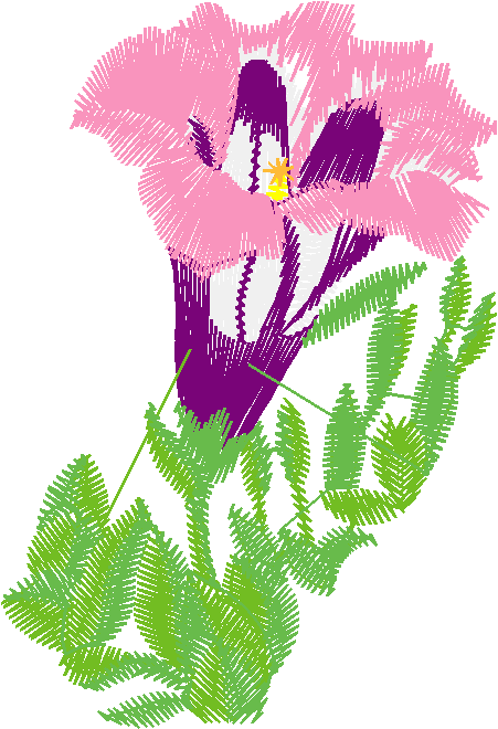Floral 46  (5)