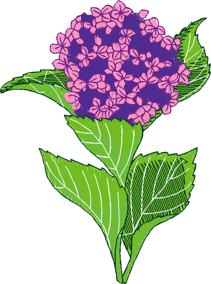 Floral 5  (20)