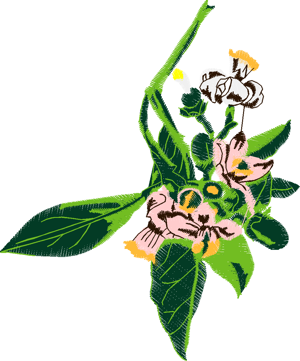 Floral 54  (10)