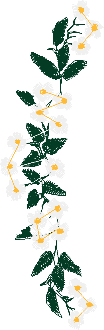Floral 54  (28)