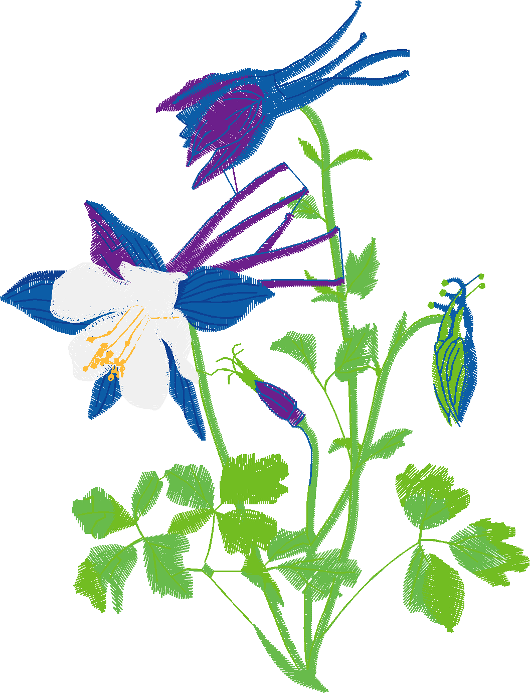 Floral 54  (40)