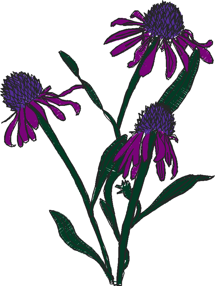 Floral 66  (16)