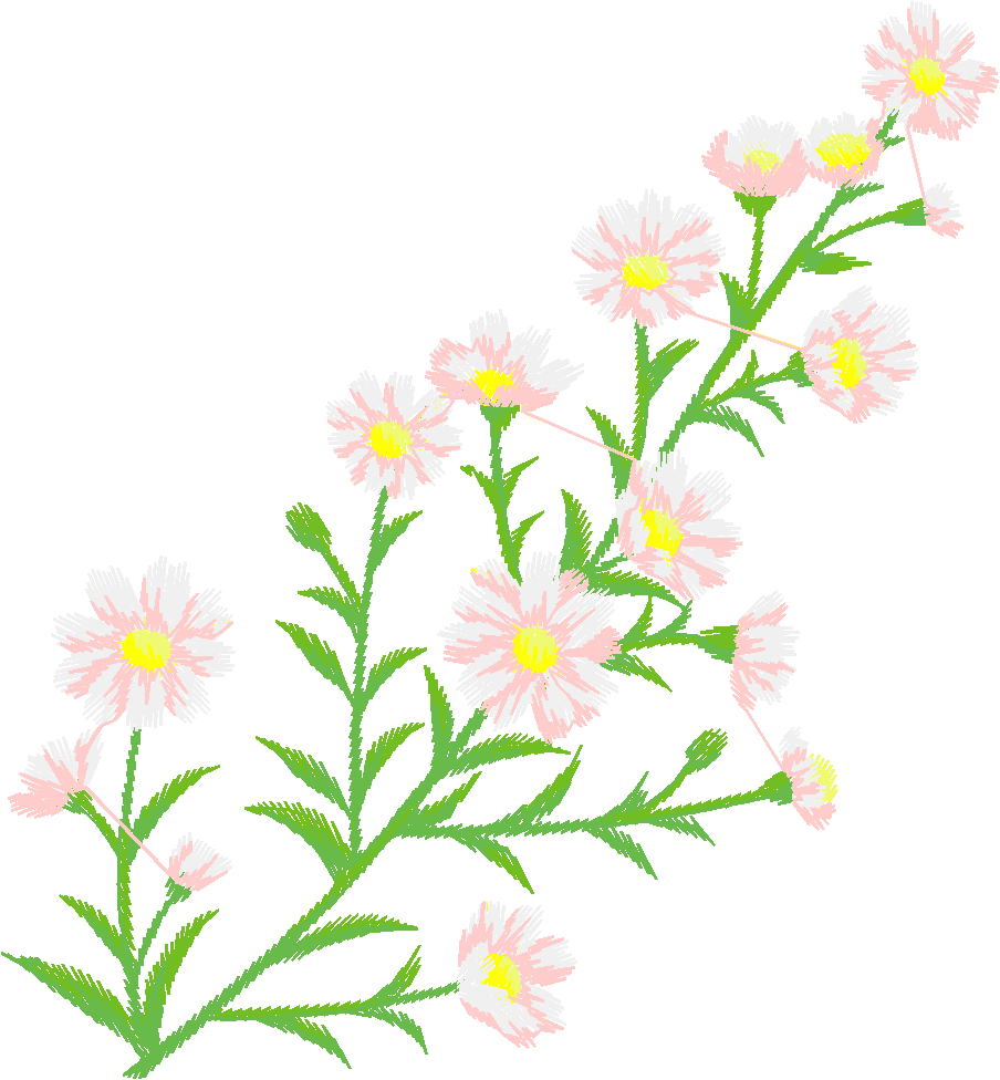 Floral 70  (51)