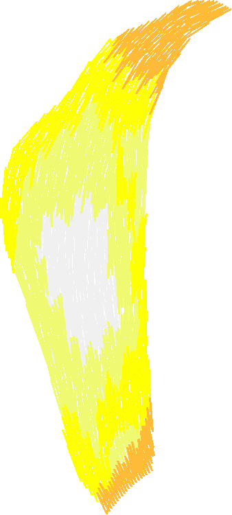 Floral 70  (7)