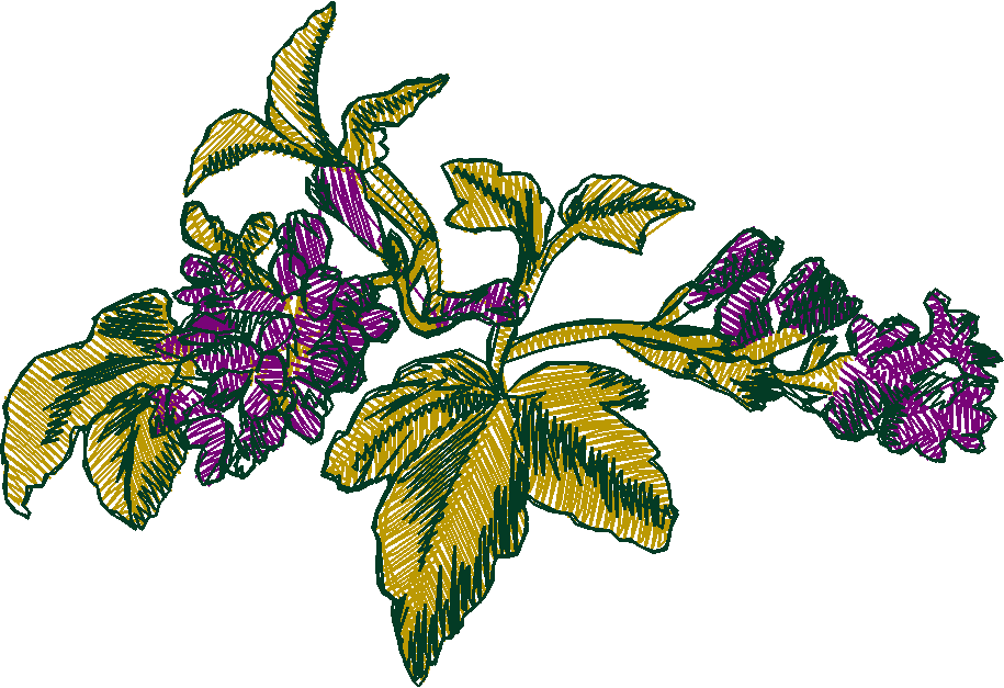 Floral 8  (14)