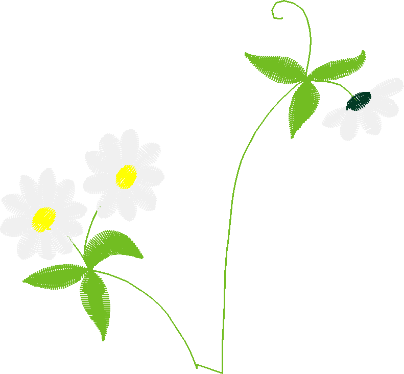 Floral 80  (12)