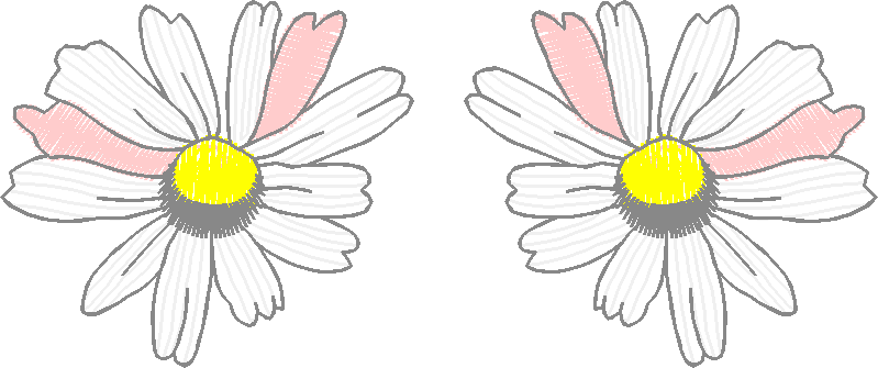 Floral 81  (1)