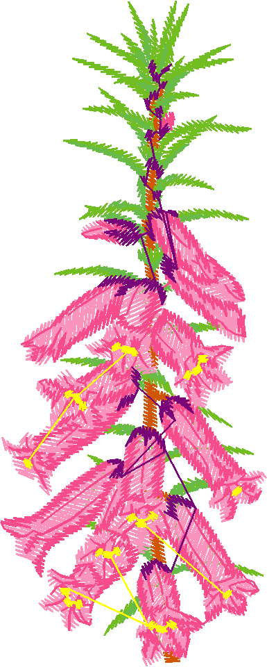 Floral 86  (3)