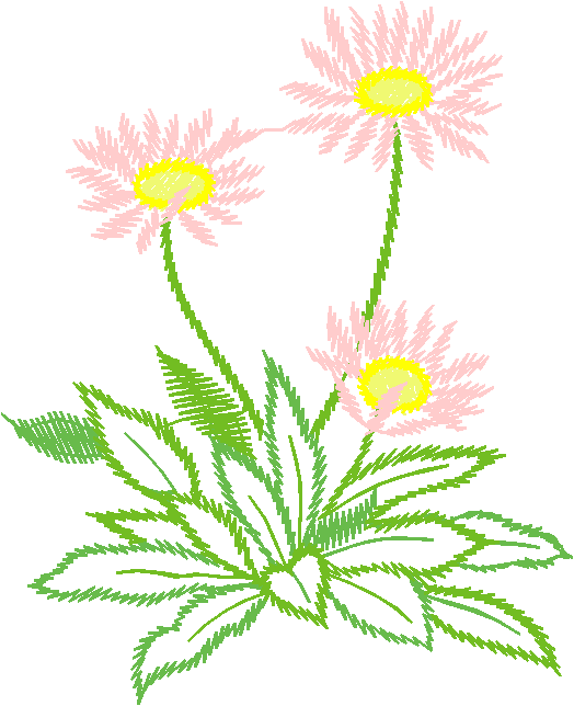 Floral 90  (16)