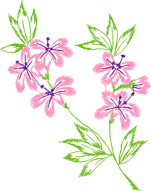 Floral 90  (20)
