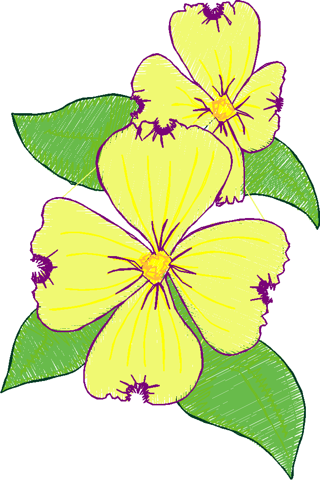 Floral 95  (5)