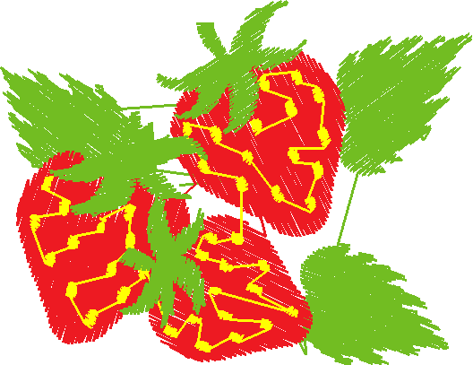 Fruit 10  (17)