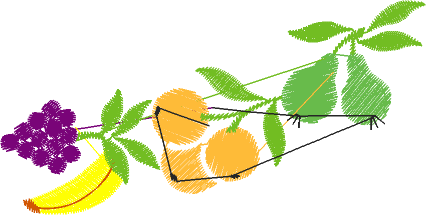 Fruit 6  (15)
