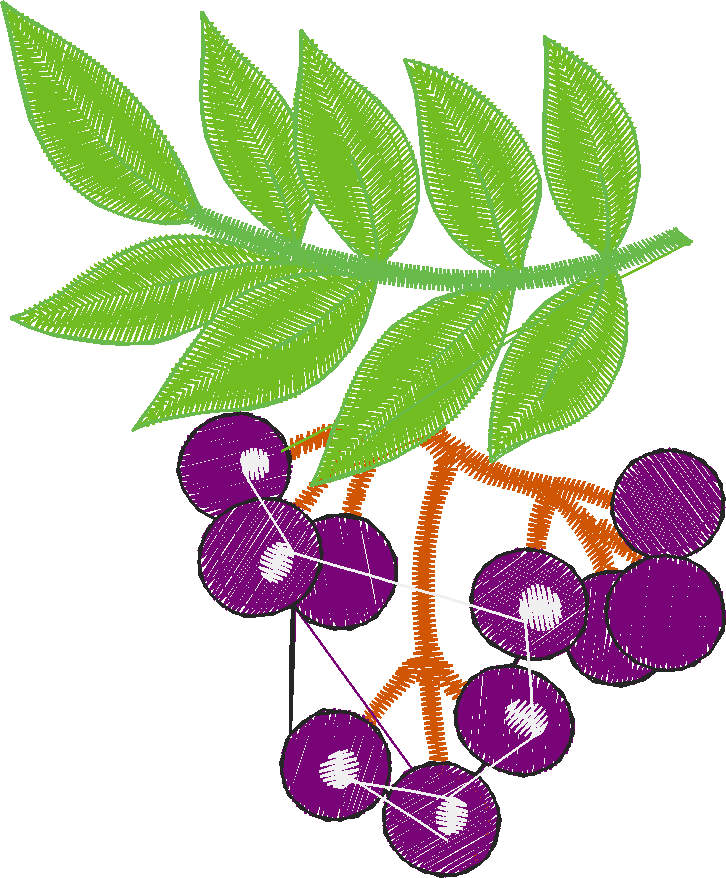 Fruit 7  (8)