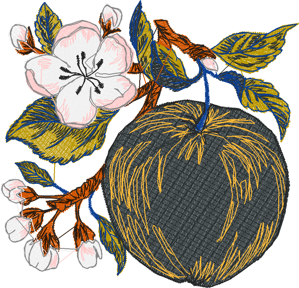 Fruit 8  (16)