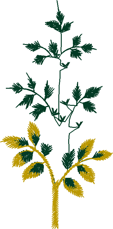 Garden 10  (20)