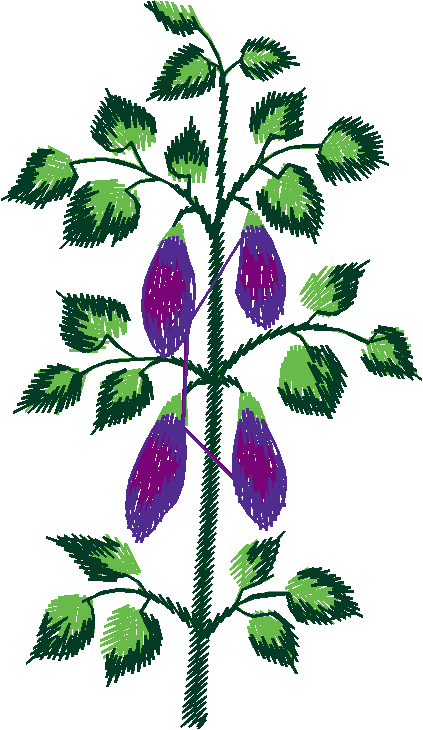 Garden 10  (22)