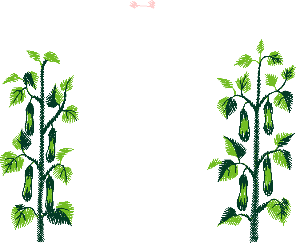 Garden 10  (36)