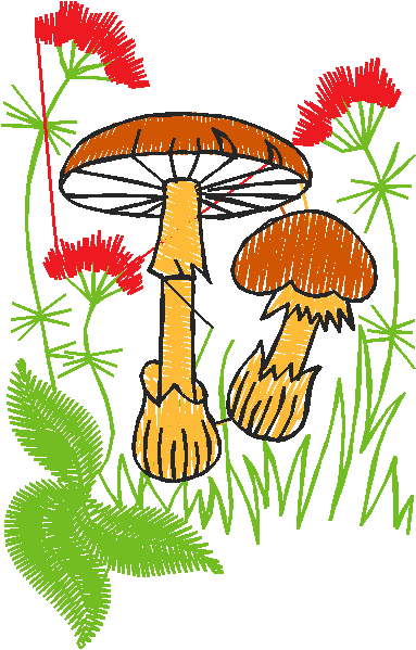 Garden 5  (14)