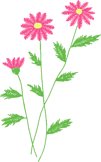 02004