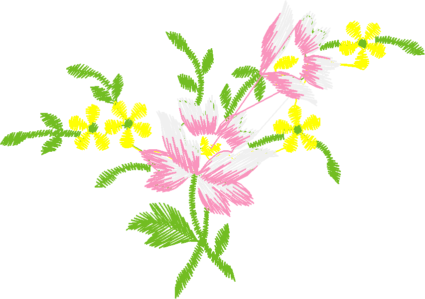 054720