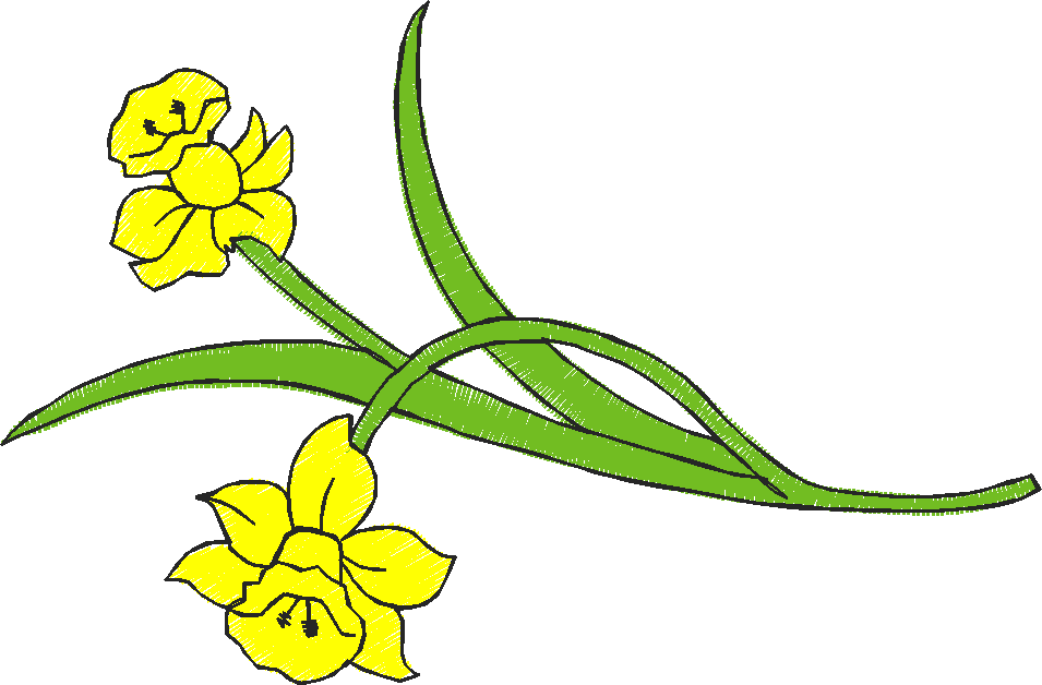 Dafleft