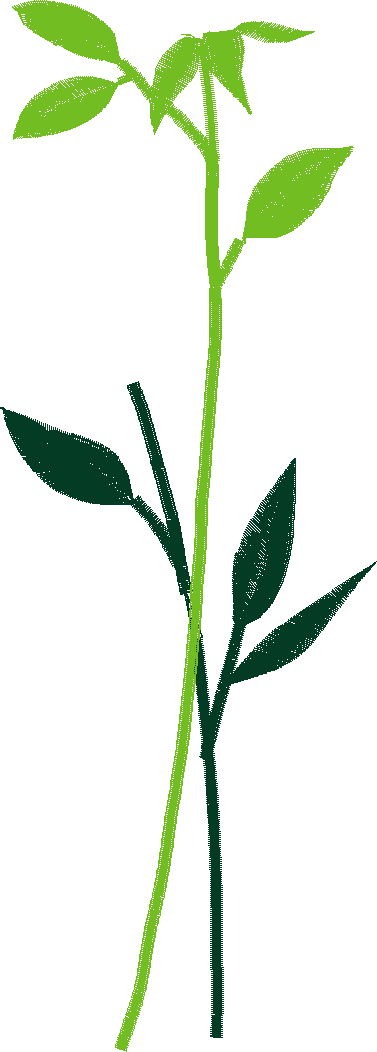 Des01 01 2