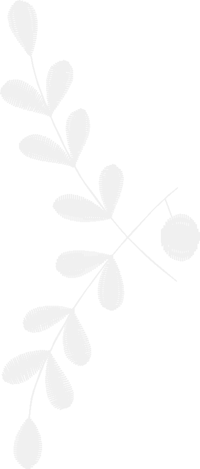 Des15202