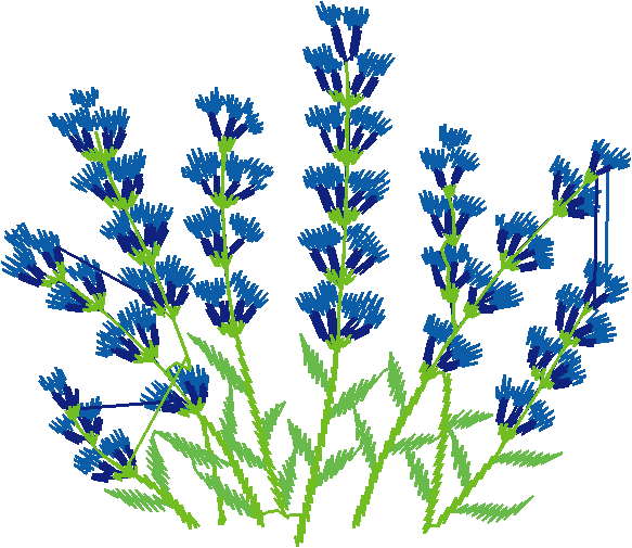 Floral2008