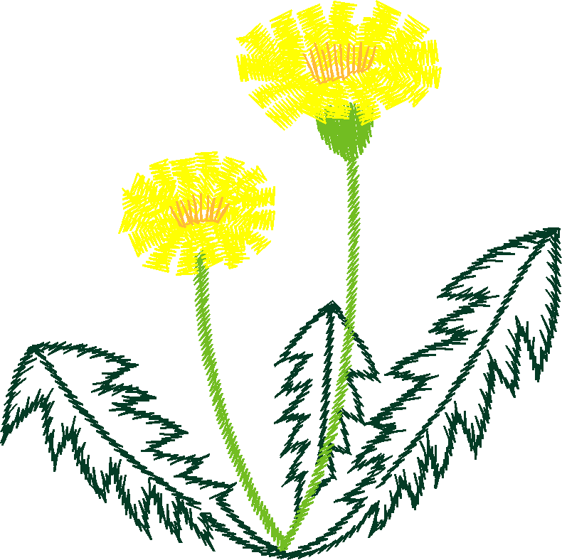 Floral2012