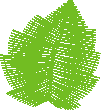Leaf12