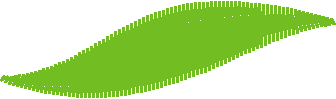 Leaf2