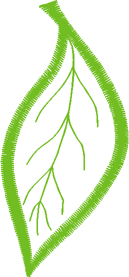 Leafapp1