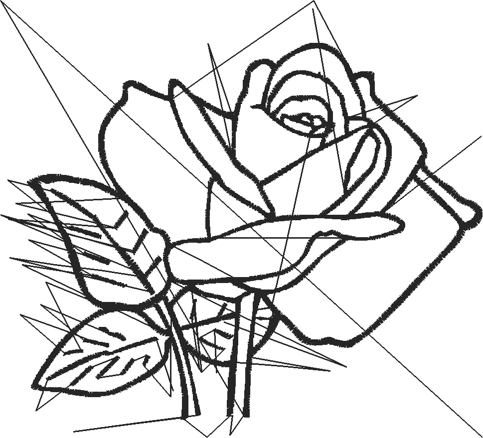 Rosevic B