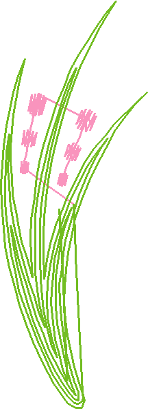 Geometric 1 (15)