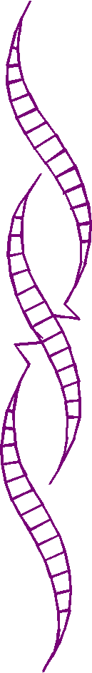 Geometric 1 (20)
