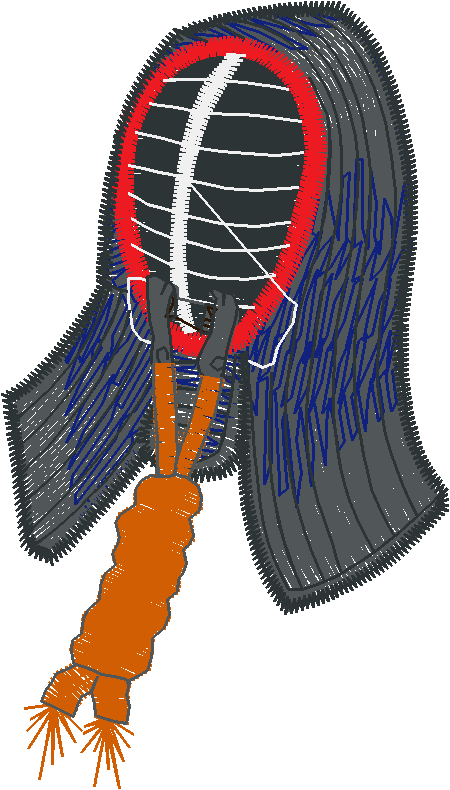 Helmets 1  (19)
