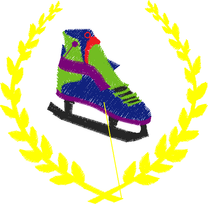 Hockey 2  (6)
