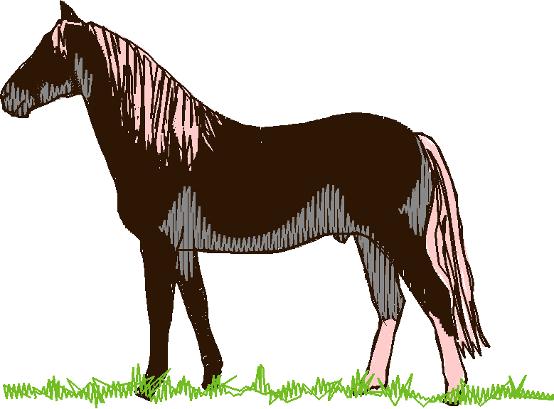 Horses 10 (14)