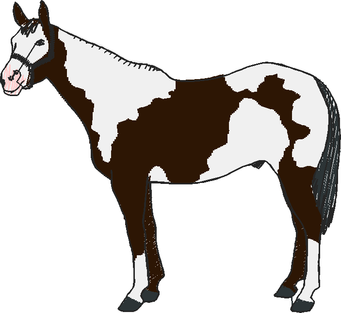 Horses 10 (6)