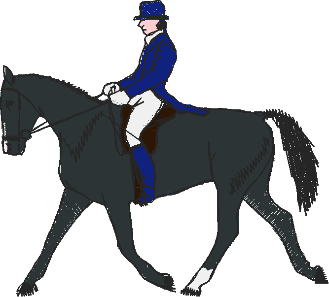 Horses 10 (8)