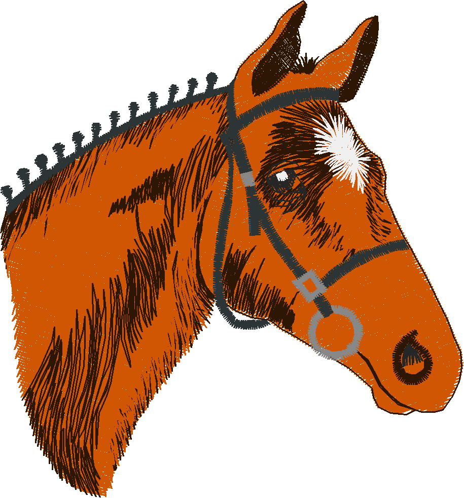 Horses 11 (2)