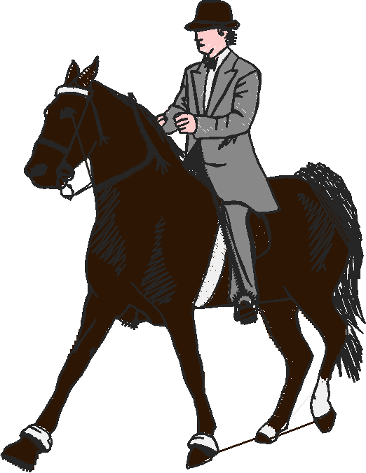 Horses 12 (20)