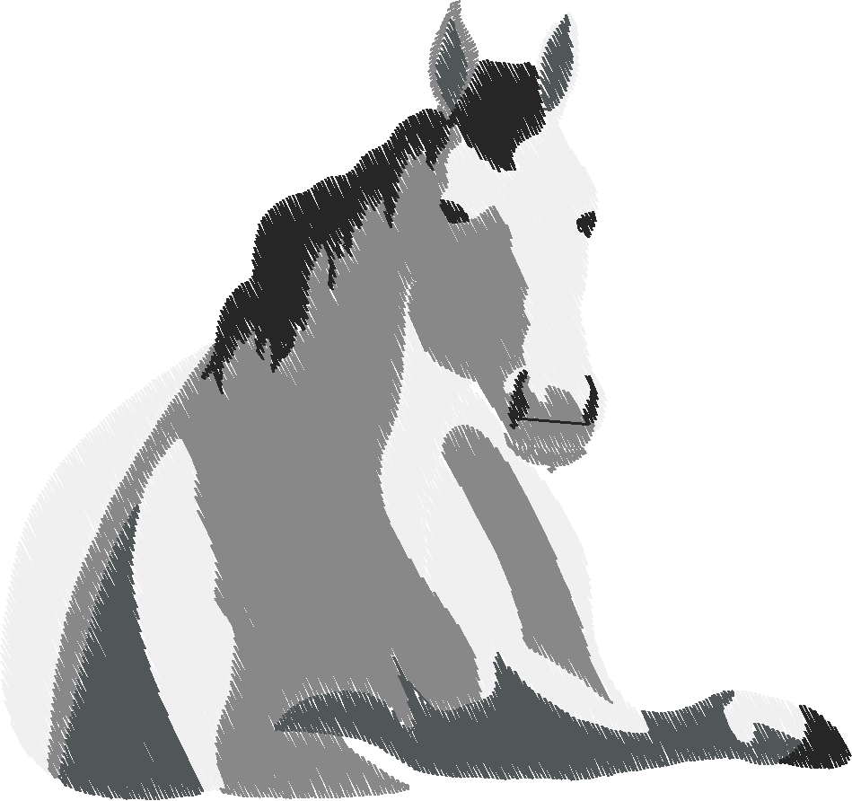 Horses 14  (23)
