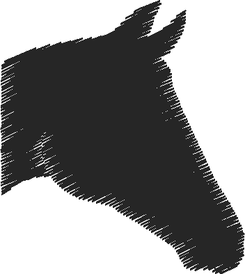 Horses 14  (45)