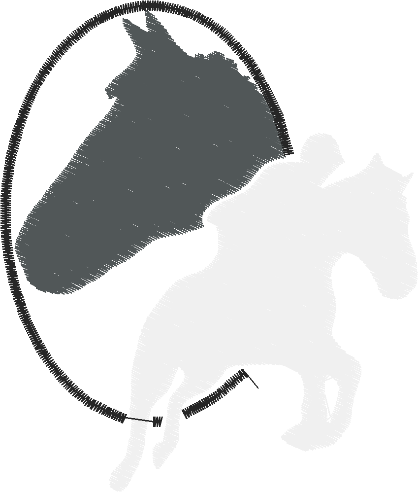 Horses 14  (82)