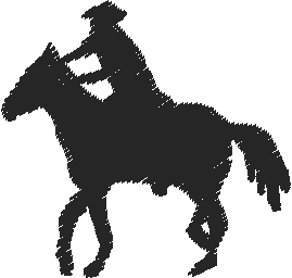 Horses 15  (16)