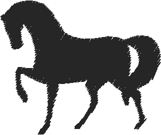 Horses 15  (2)