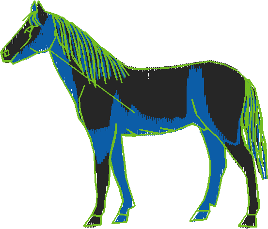 Horses 2  (42)